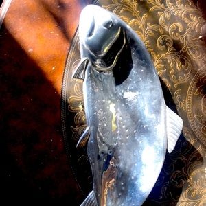 Snaks , cokkies  sushi , Servings